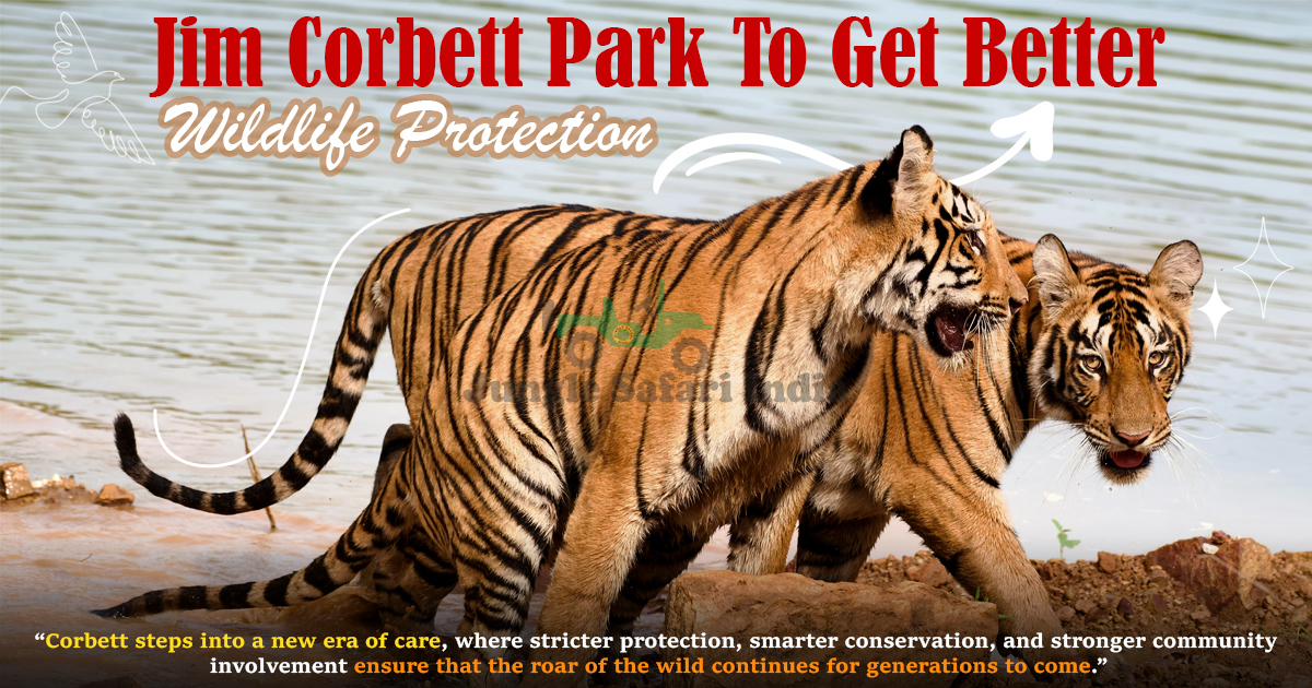 Jim Corbett Park To Get Better Wildlife Protection