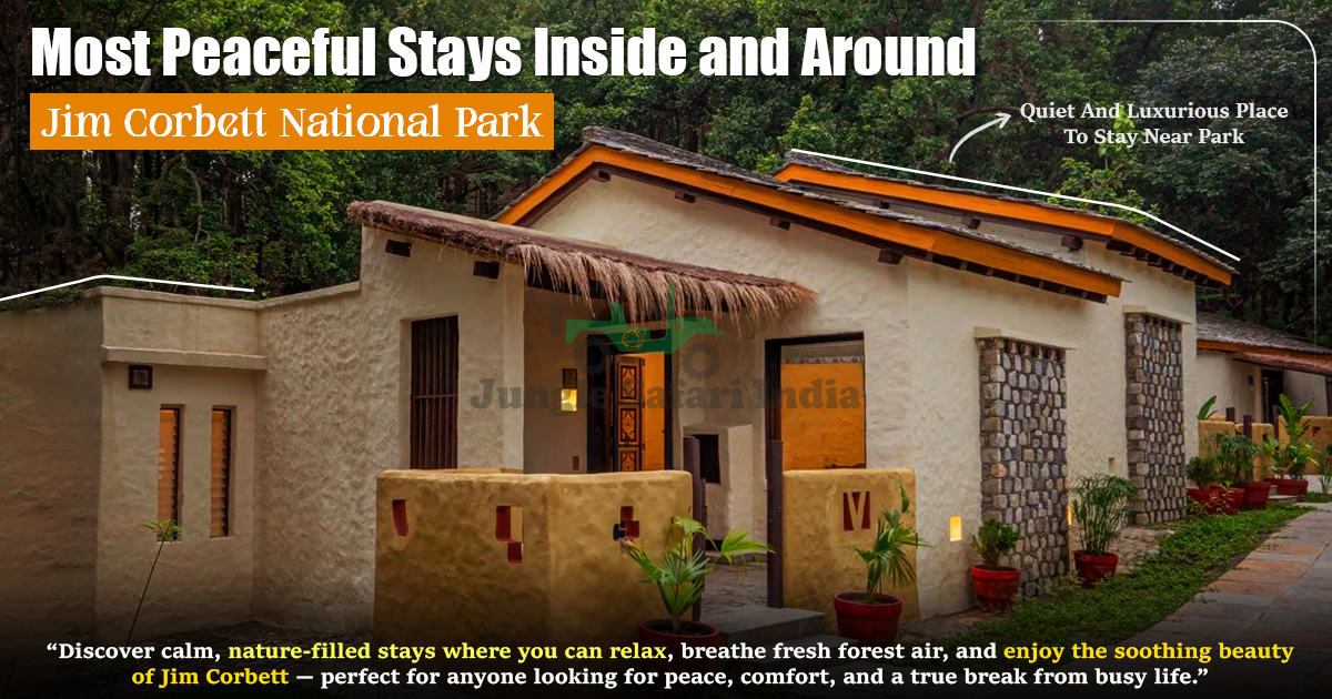 Most Peaceful Stays Inside and Around Jim Corbett