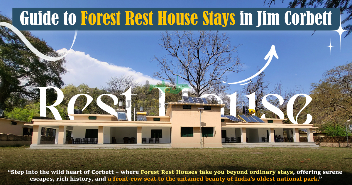Guide to Forest Rest House Stays in Jim Corbett