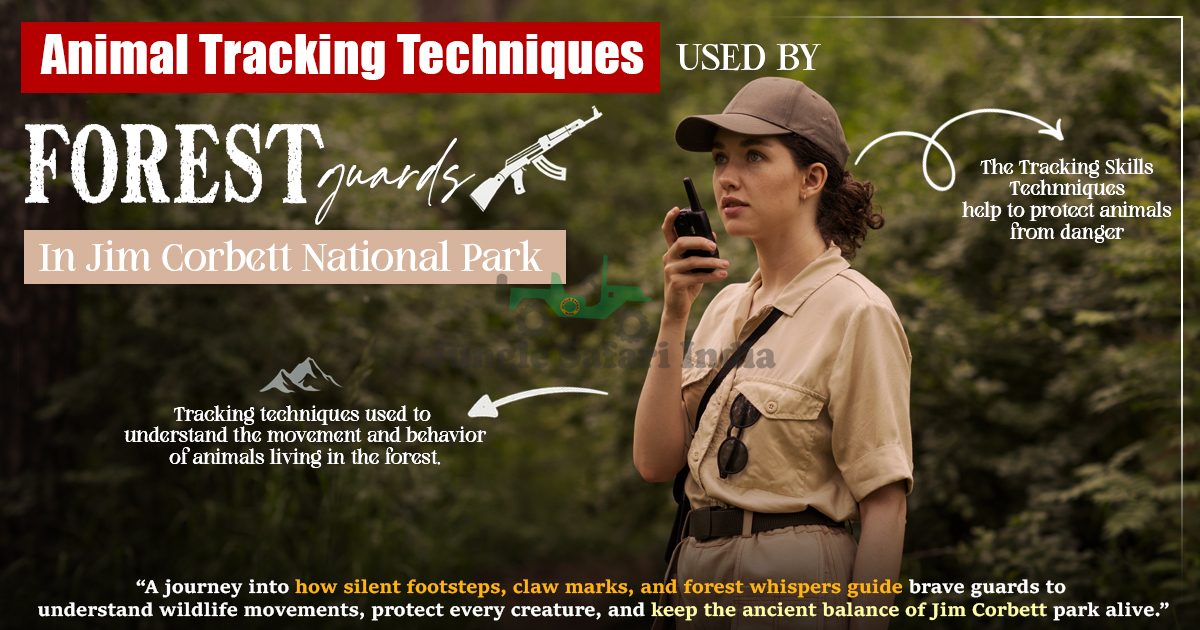 Animal Tracking Techniques Used by Forest Guards in Jim Corbett
