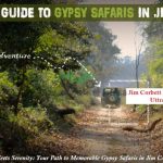 Essential Guide To Gypsy Safaris In Jim Corbett