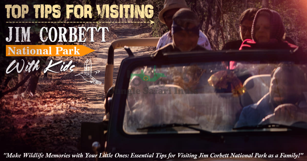Top Tips For Visiting Jim Corbett National Park With Kids