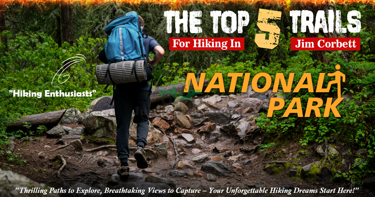 The Top 5 Trails For Hiking In Jim Corbett