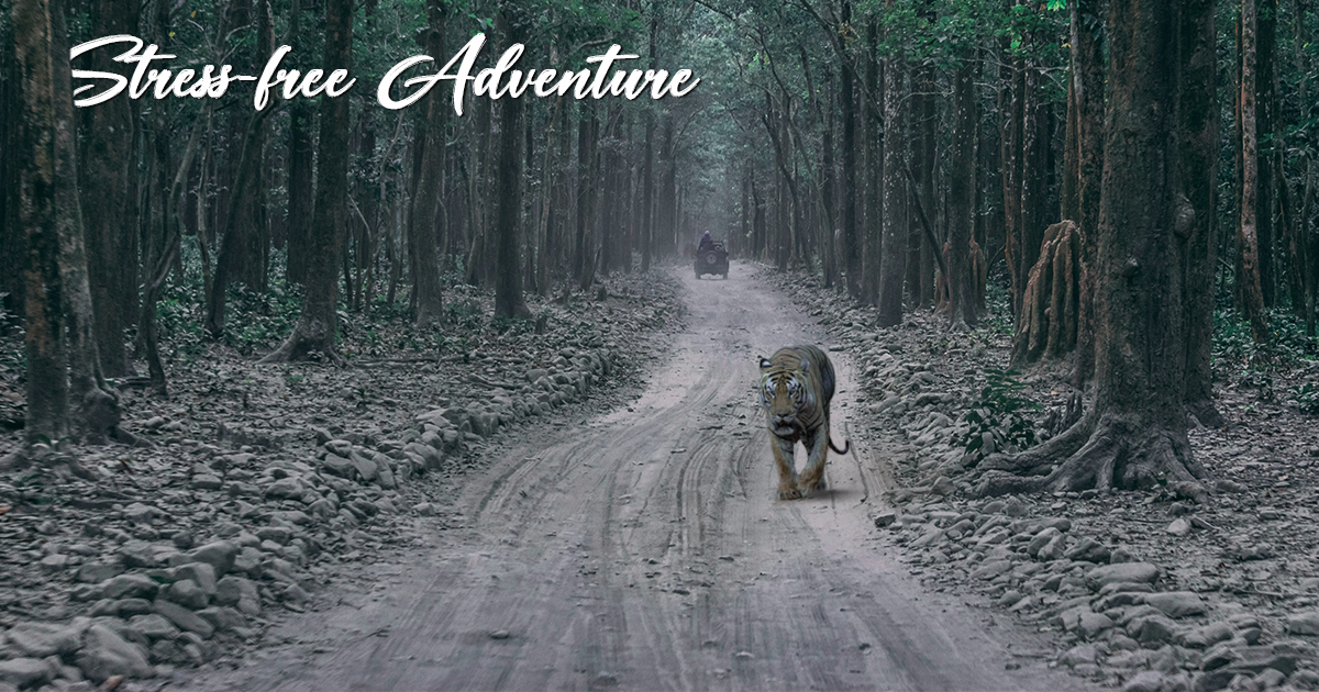 Plan your Stress-free Adventure in Corbett National Park