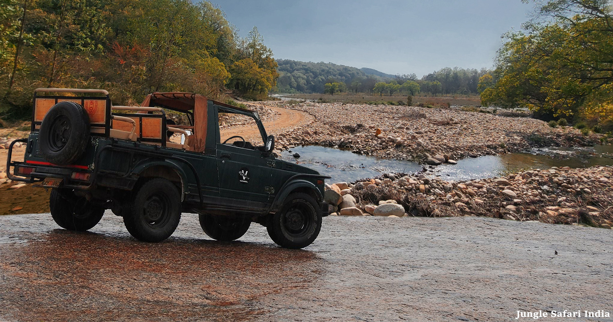 Discover Your Perfect Safari Zone in Jim Corbett National Park