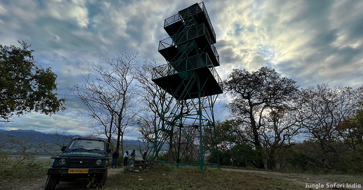A Perfect Weekend Gateway – Jim Corbett National Park