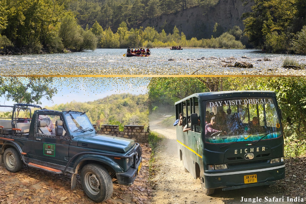 Top Adventurous Activities in and around Jim Corbett National Park