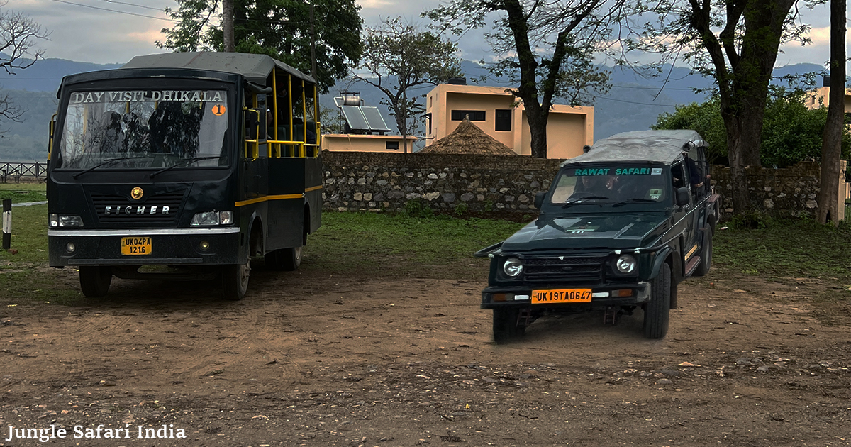 Different Safari Experiences At Jim Corbett National Park