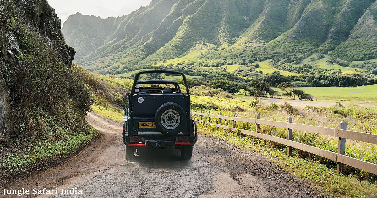 A Journey from Jim Corbett to the Hills of Nainital