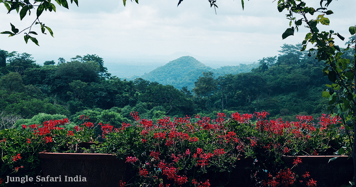 Flora of Jim Corbett National Park