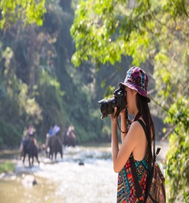 Best Time to Visit Jim Corbett National Park in 2024