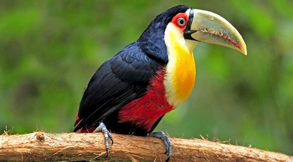 Is April A Good Time To Visit Jim Corbett ?