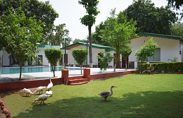 Pm Modi Talks on Wildlife Conservation in ‘Mann Ki Baat’ Programmed