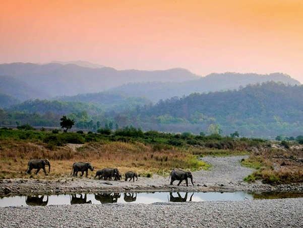 Explore The Camping Sites In The Jim Corbett Region