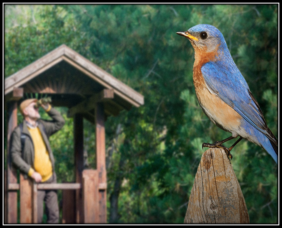 Trip to Jim Corbett Park and its Surrounding in the Lap of Nature