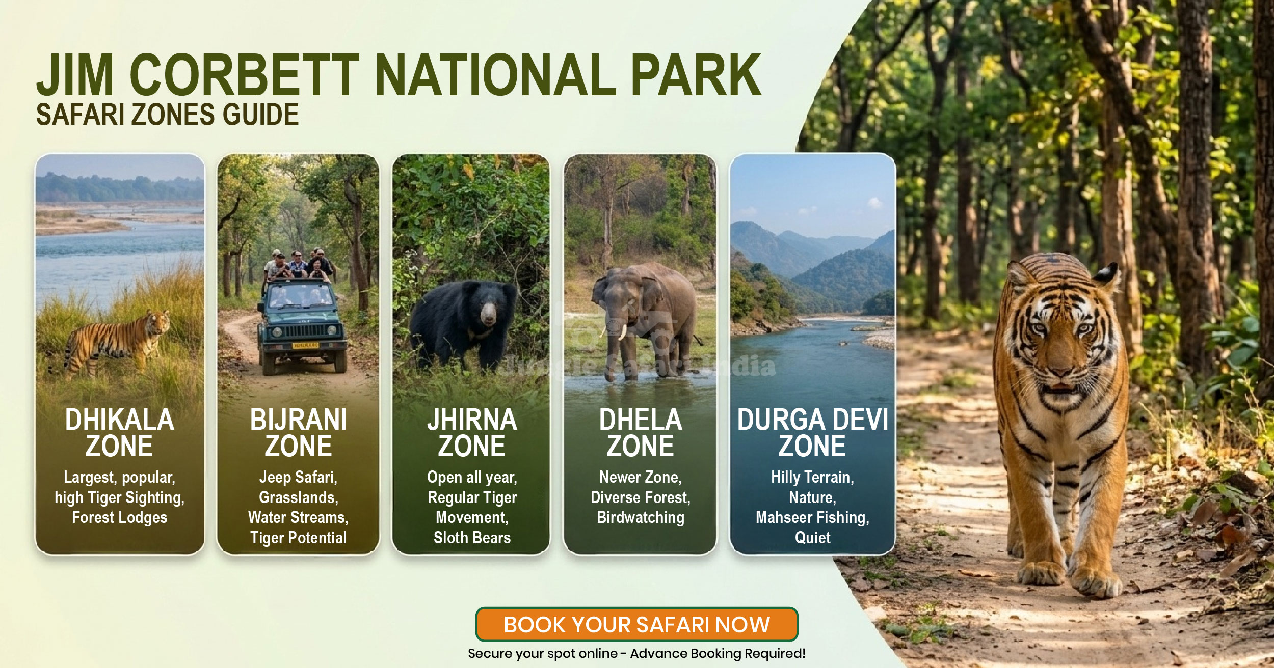Jim Corbett National Park Safari Zones Guide