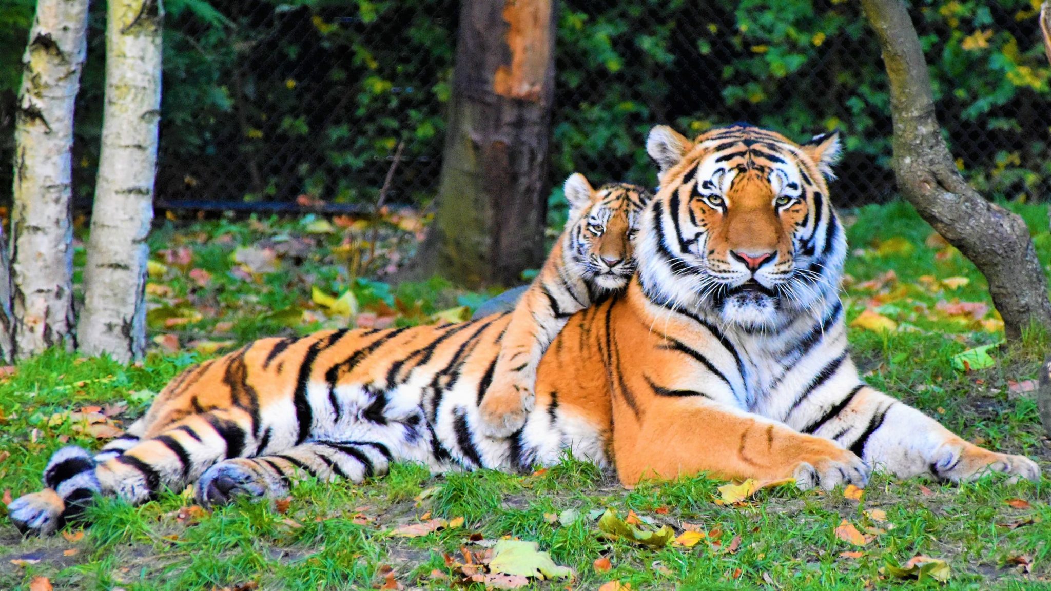 HURL Organises Learning Programme At Jim Corbett