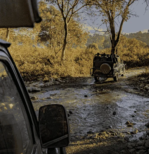 Jim Corbett 1 Night Tour from Delhi with 2 Gypsy Safaris