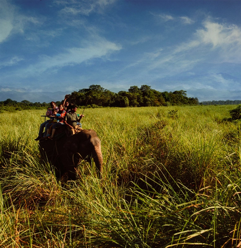 Corbett 1 Nights Tour With 1 Elephant Safari