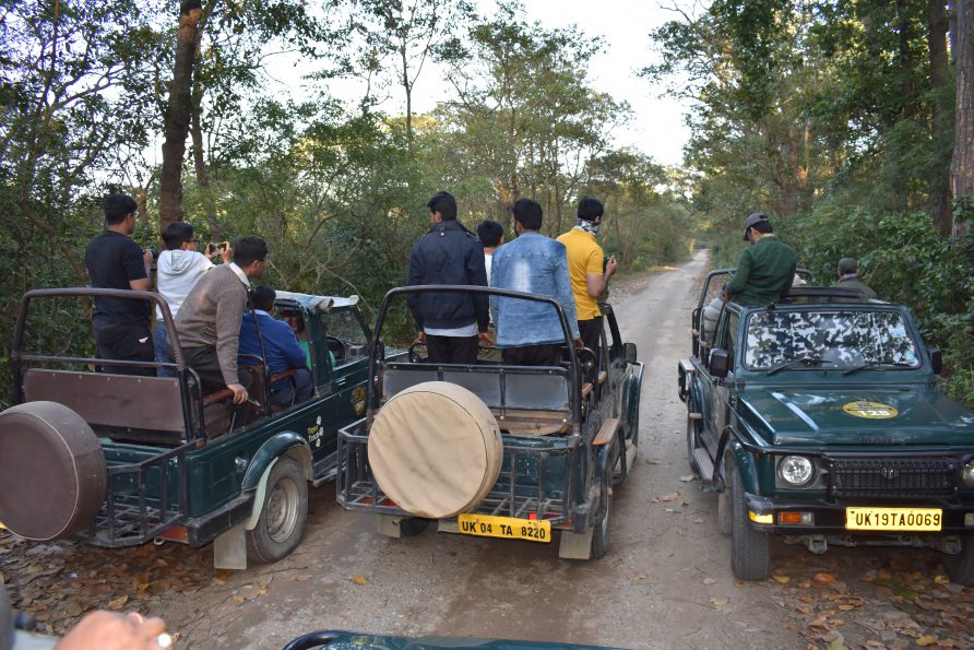 Jim Corbett Safari Booking