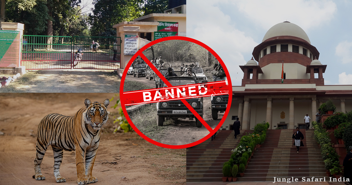 Tiger Safari banned in Pakhro