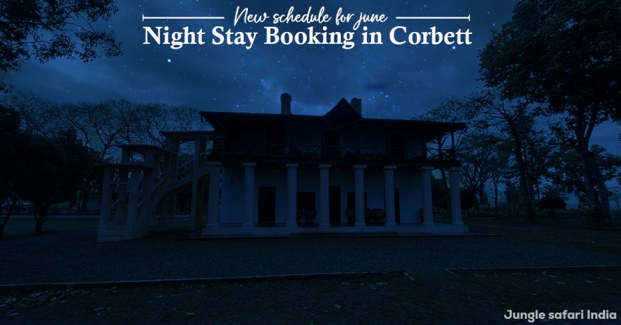 New Schedule For June Night Stay