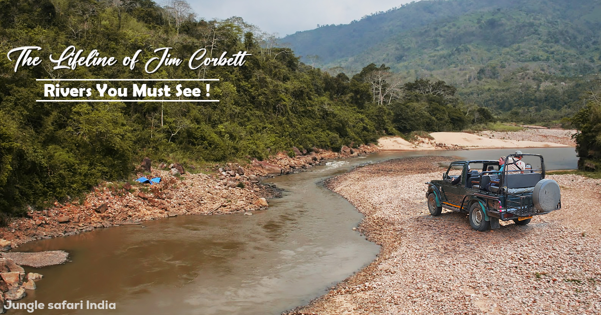 The lifeline of jim corbett rivers you must see