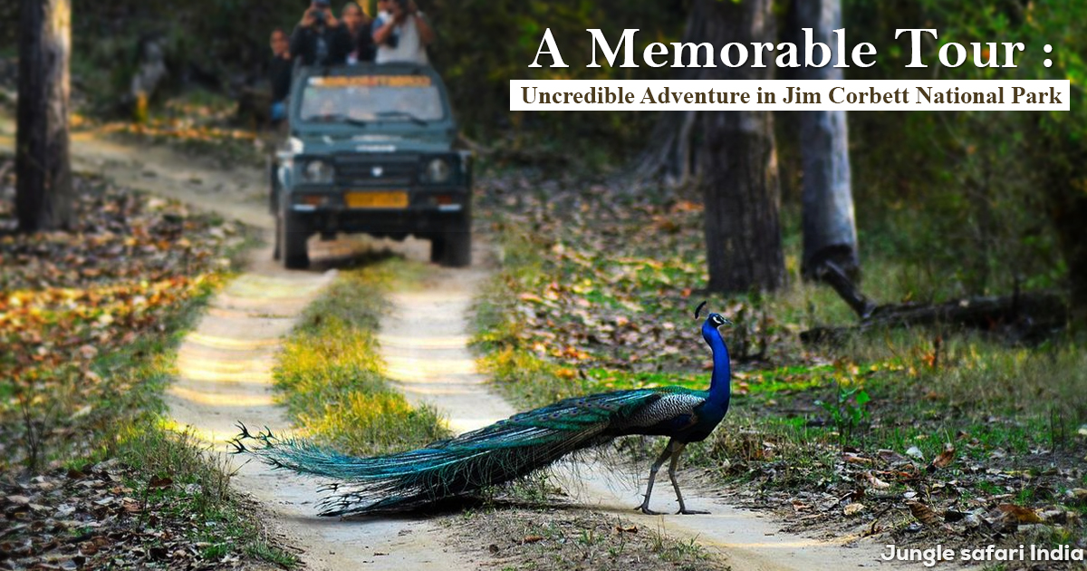 A memorable Tour To Jim Corbett National Park