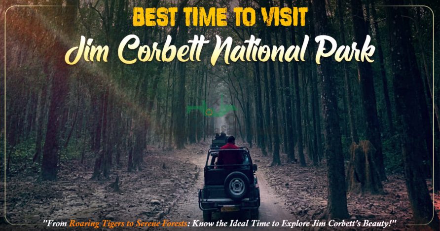 best time to visit jim corbett national park