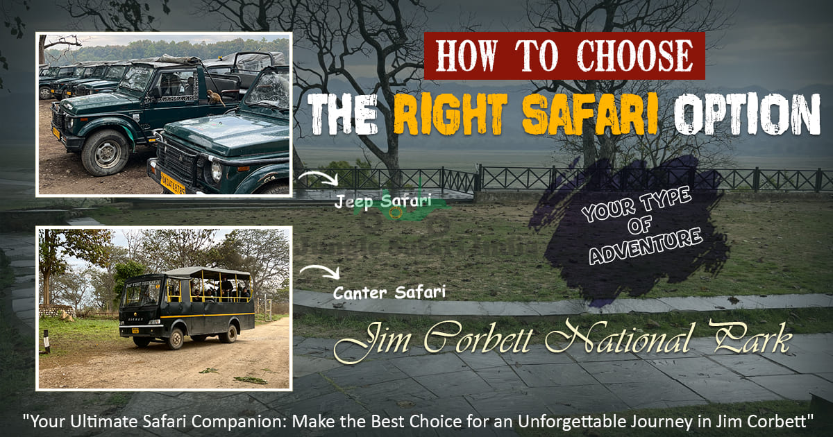 safari in jim corbett