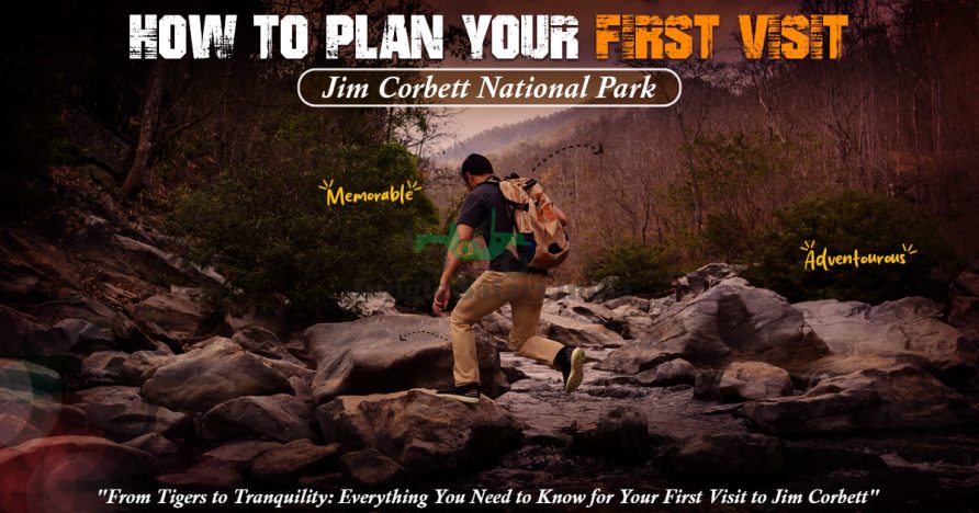 How To Plan Your First Visit To Jim Corbett National Park