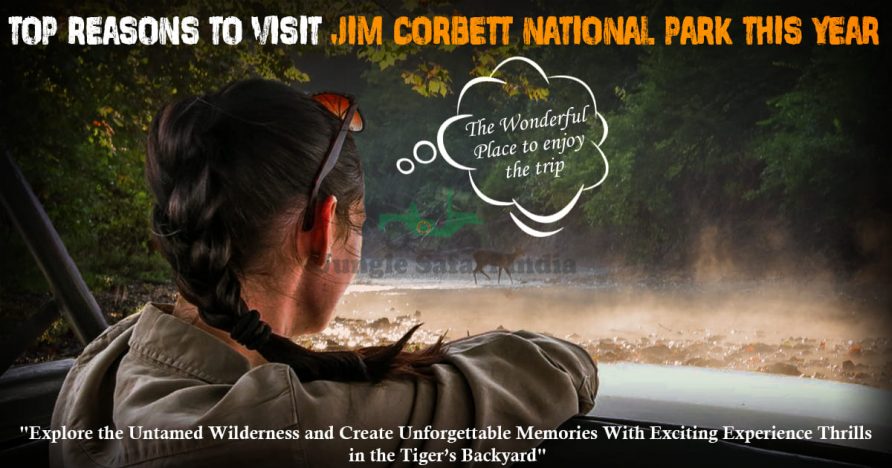 Top Reasons to Visit Jim Corbett National Park This Year