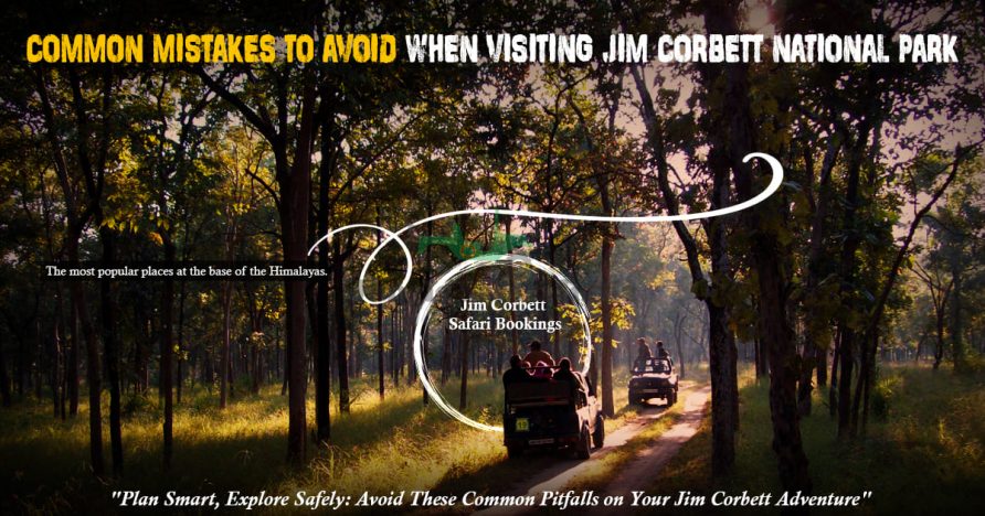 Common Mistakes To Avoid When Visiting Jim Corbett National Park