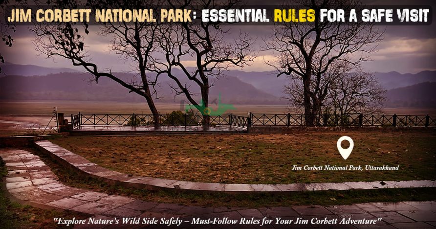 Jim Corbett National Park: Essential Rules For A Safe Visit