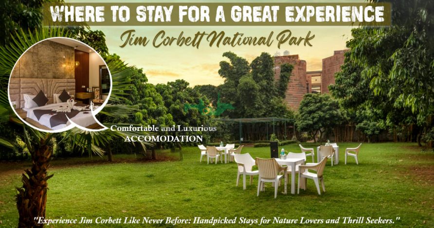 Jim Corbett: Where To Stay For A Great Experience