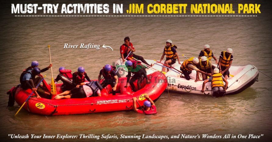 activities in Jim Corbett