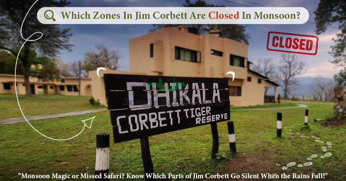 Which Zones In Jim Corbett Are Closed In Monsoon