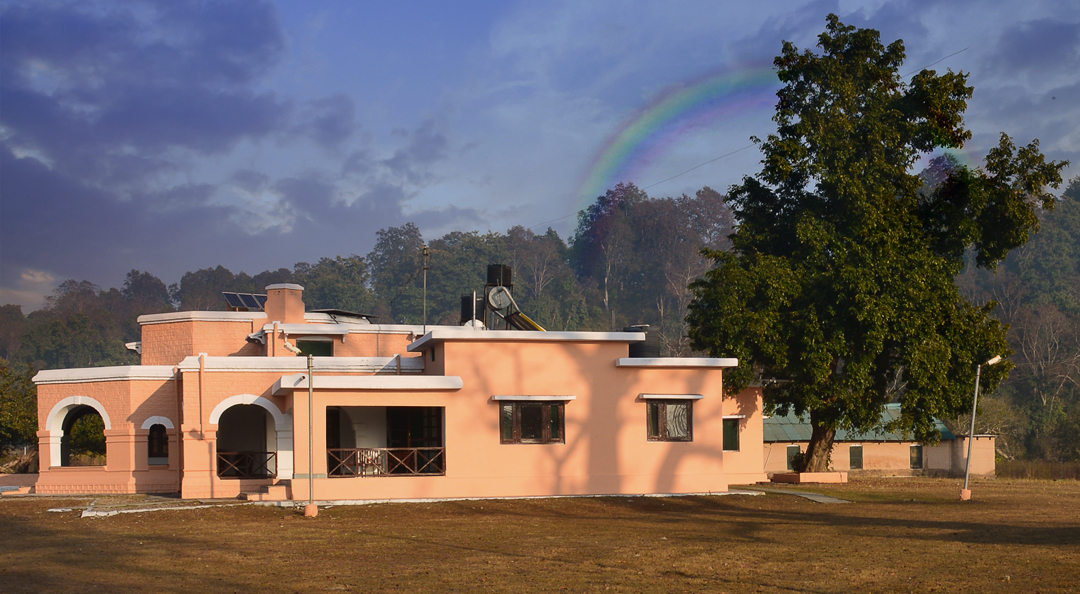 Jawai Leopard Safari