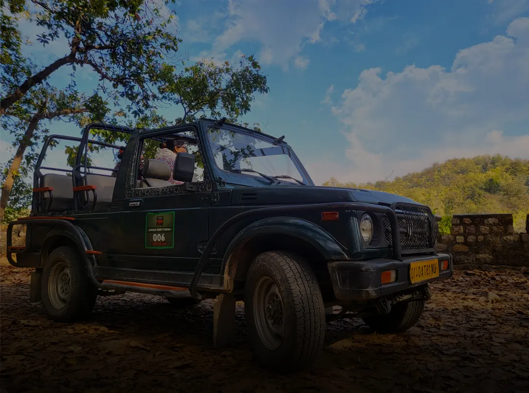 safari-booking
