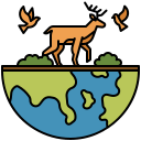 Wild Tours In India