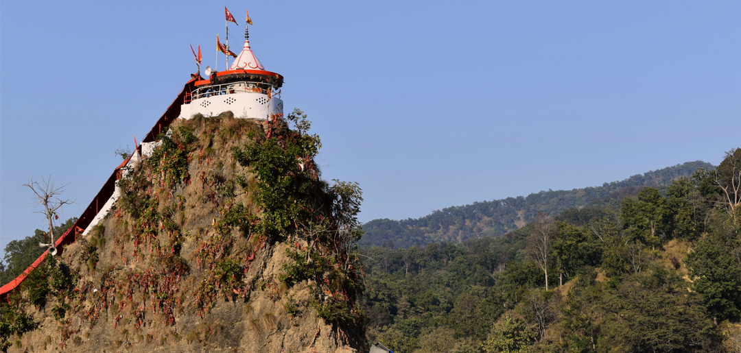 Jawai Leopard Safari