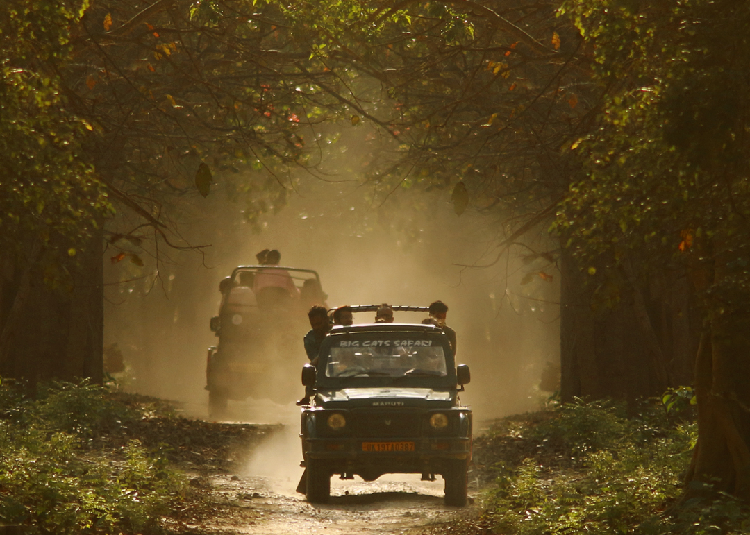 FOREST REST HOUSE IN JHIRNA ZONE