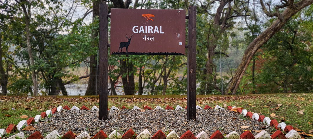 Gairal Forest Rest House