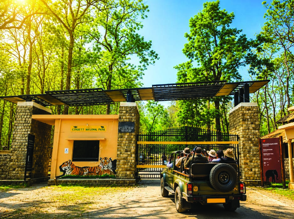 Gypsy Safari