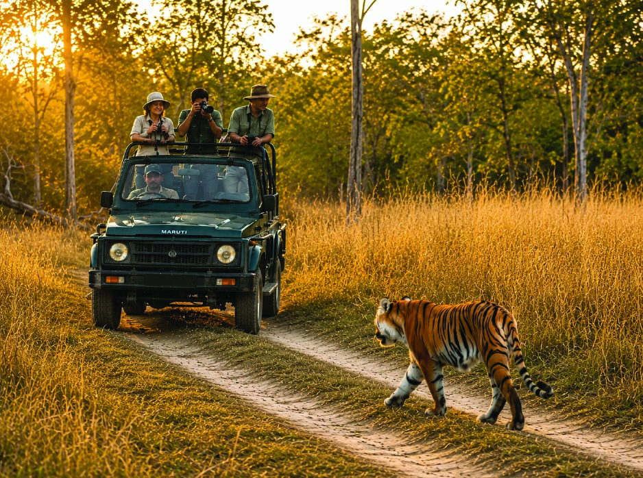 Gypsy Safari