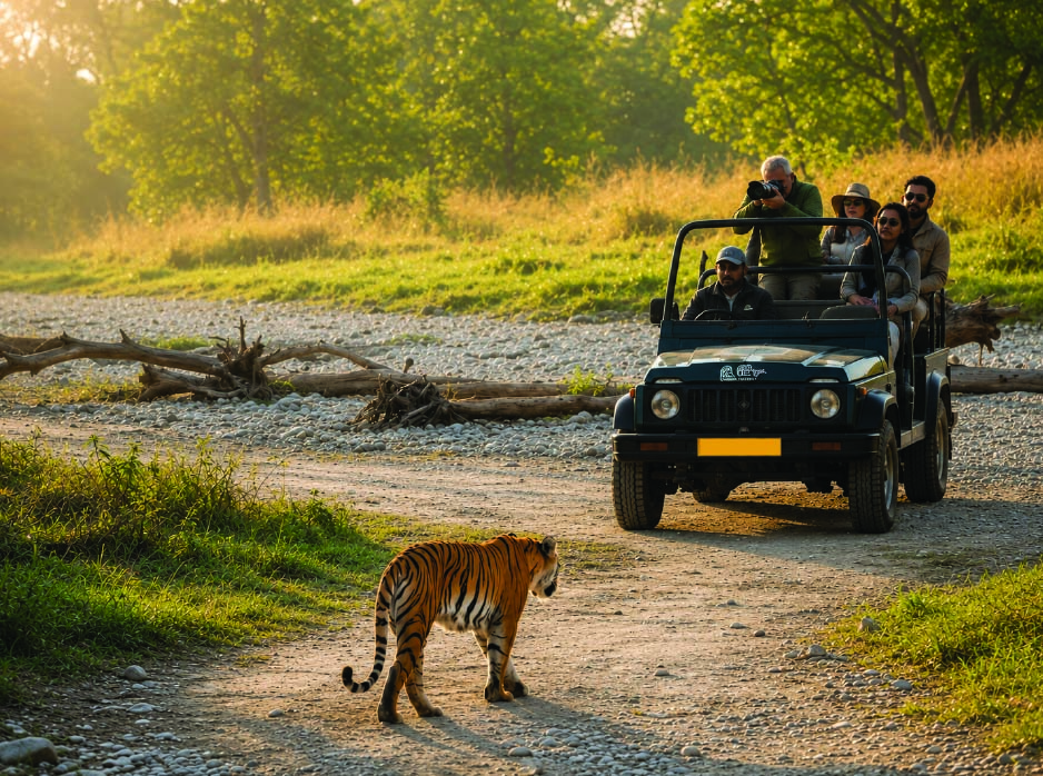 Gypsy Safari