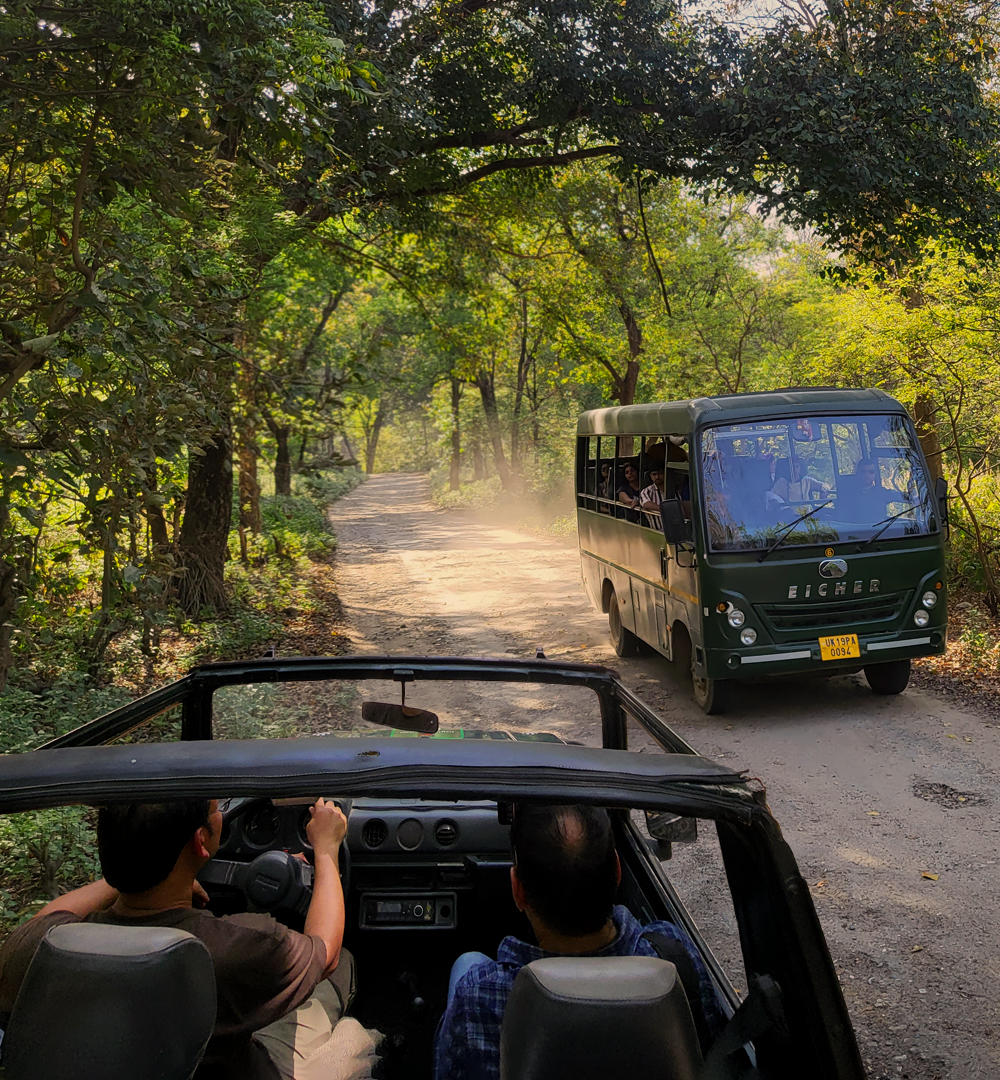 Canter safari in Jim Corbett