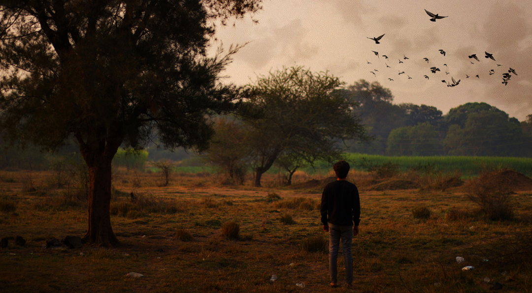 Go for Birdwatching Inside The Park