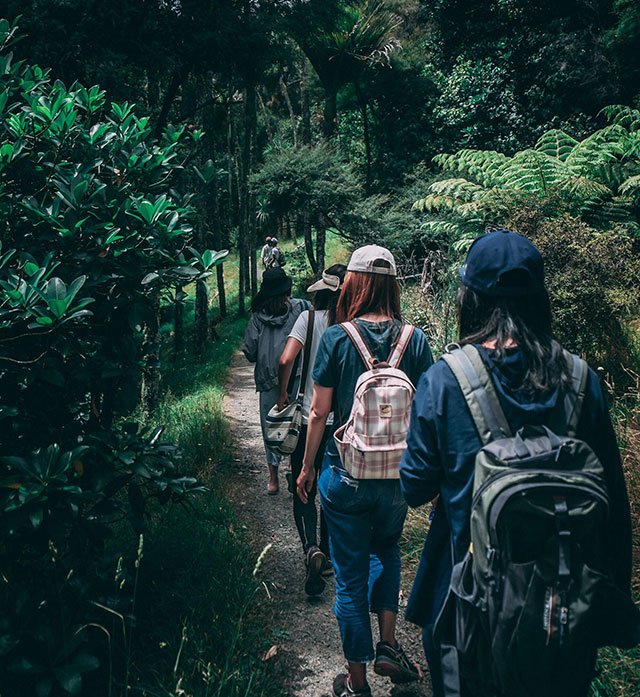 Nature Walk in Jim Corbett