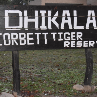 Corbett Dhikala Forest (1 Night / 2 Days) with 2 Time Jeep Safari